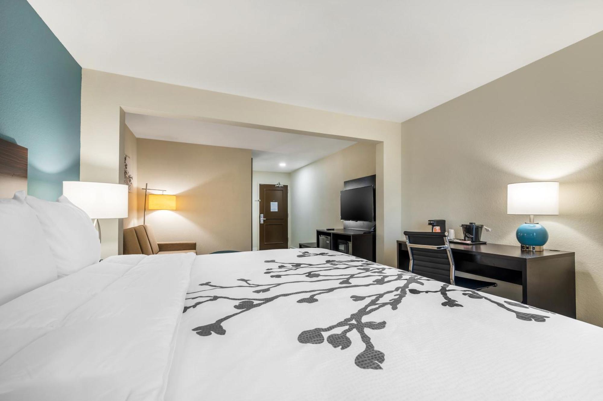 One Room Suite - Non Smoking,1567038590:JPEG
